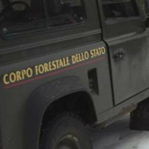 Foiano della Chiana: sequestrati centri di raccolta abusiva di rame, 5 denunce