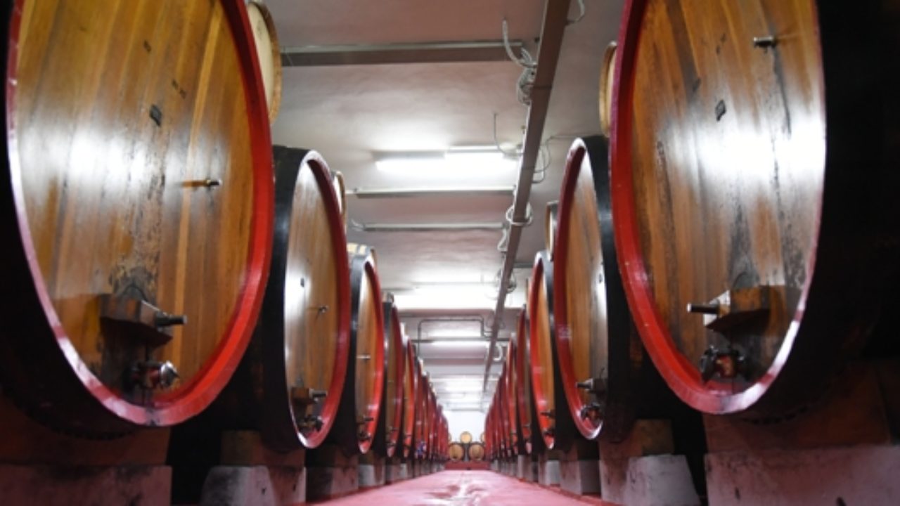 Visite in cantina della Strada del Vino Terre di Arezzo